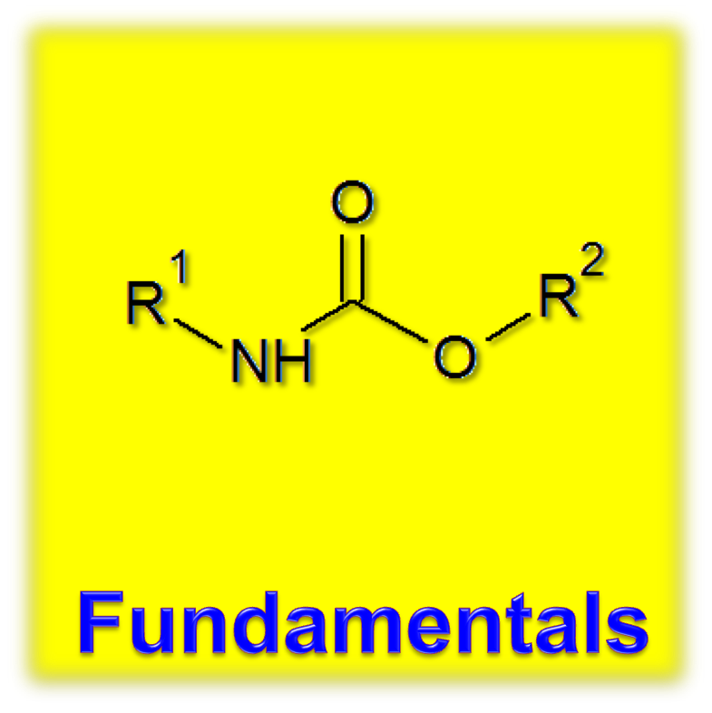 Fundamentals